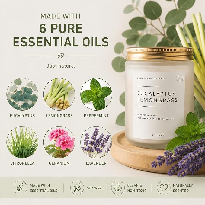 Eucalyptus Lemongrass Scented Candle with Citronella Essential Oil | Contains 6 Essential Oils | 50+ Hrs Long Lasting | Non-Toxic Soy Candle