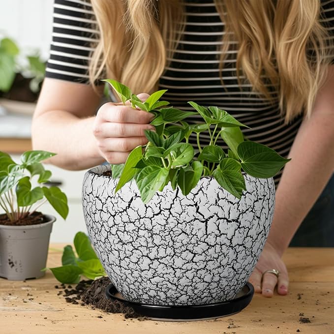 Ceramicfor Ceramic Plant Pot 8 Inch - Ceramic Planter for Indoor Plants, Round Flower Pot with Drainage Hole and Saucer, Glaze White and Black