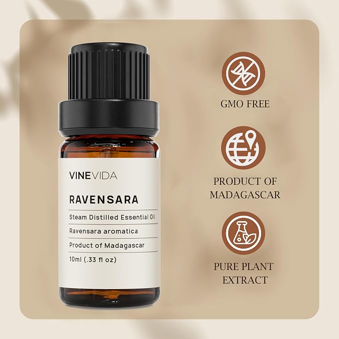 VINEVIDA Ravensara Essential Oil - Undiluted Ravensara Candle Oil Scent - DIY Candle Scents for Candlemaking