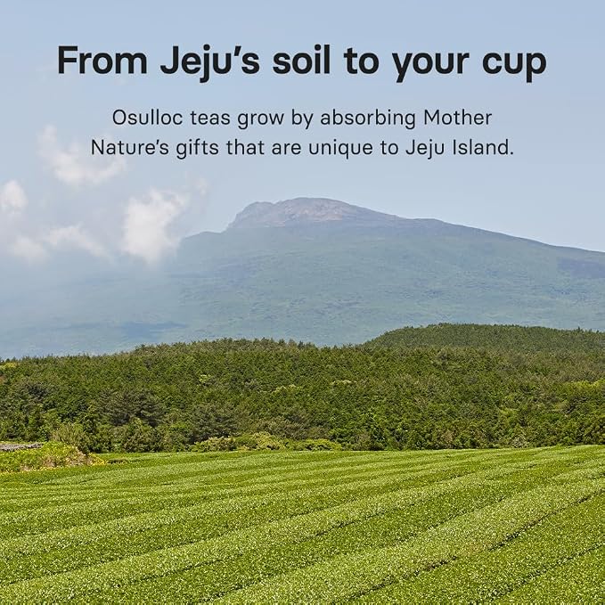 Osulloc Marron Glacé Black Tea, Roasted Chestnut Flavored, Sweet & Elegant Black Tea, Iced tea bags, Premium Tea Bags from Jeju Island, 20 count, 1.41oz