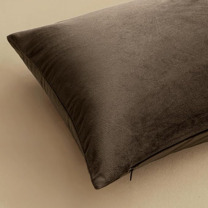 MIULEE Velvet Throw Pillow Covers 18x18 Inch Pack of 2 Coffee | Soft Solid Decorative Pillow Covers, Modern Luxury Home Decor, for Couch Chair Sofa Bedroom Livingroom