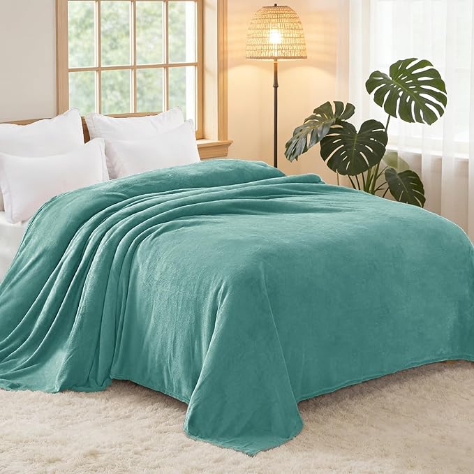Exclusivo Mezcla Soft Fleece Blanket Queen Size for Bed, Celadon | 90x90 Inches, Double-Sided Brushed Flannel, Lightweight Plush Cozy Blanket for Home Decor, All Season, Machine Washable
