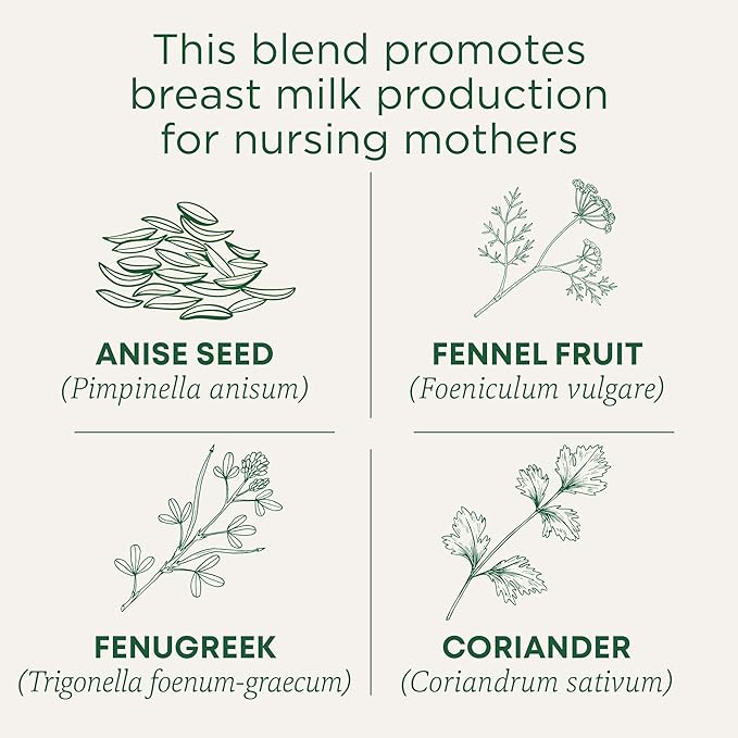 Traditional Medicinals Organic, Mother's Milk Tea - Supports Breastfeeding & Lactation with Fennel and Fenugreek - Kosher, Non-GMO, Caffeine-Free, Compostable - 16 Tea Bags