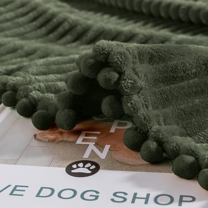 DISSA Fleece Blanket Twin Size – 60x80, Olive Green – Soft, Plush, Fluffy, Fuzzy, Warm, Cozy – Perfect Throw for Couch, Bed, Sofa - with Pompom Fringe - Flannel Blanket Throw Blanket