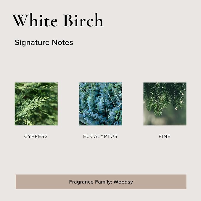Broken Top - White Birch Pure Soy Wax Candle | 9 oz. | Cypress, Eucalyptus & Pine. 50-Hour Burn Time. Natural Cotton Wick, Vegan, No Parabens, No Phthalates