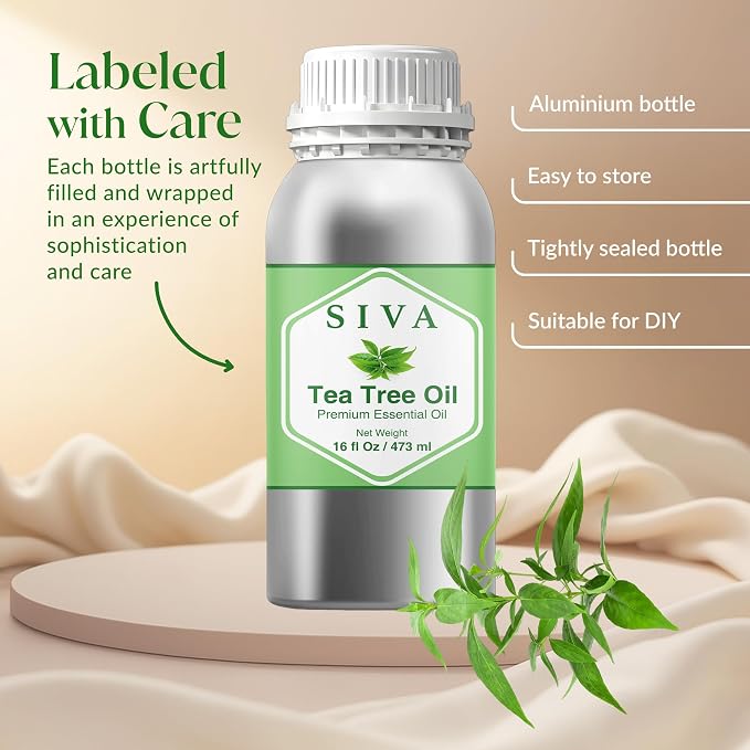 Siva Tea Tree Essential Oil 16 Fl Oz – for Diffuser, Skin & Hair Care – Ideal for Massage & DIY Blends