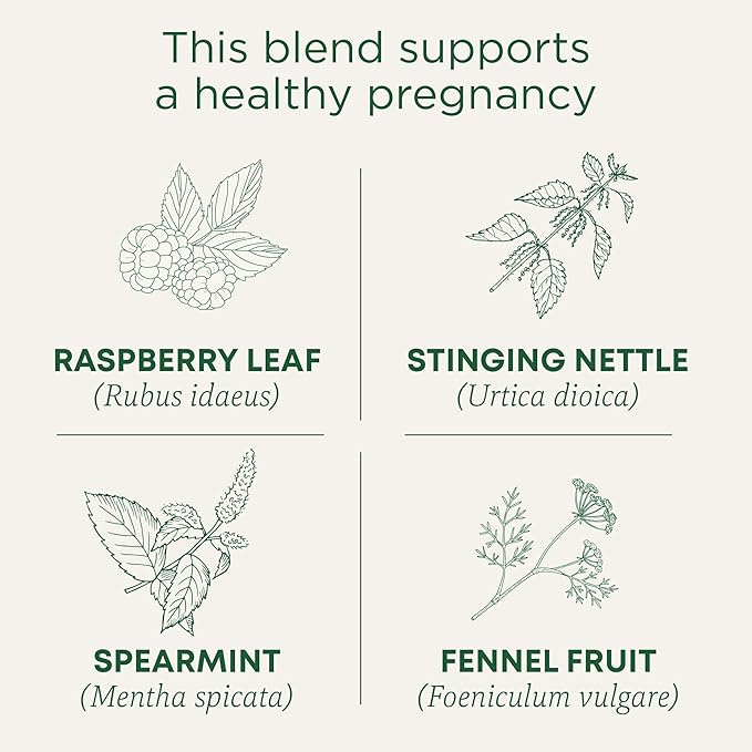 Traditional Medicinals Tea, Organic Pregnancy Tea, Supports a Healthy Pregnancy, Raspberry Leaf and Spearmint, 16 Tea Bags