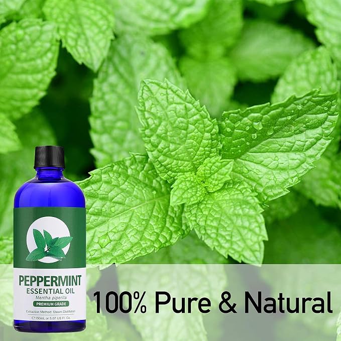 Peppermint Oil, 150 ml and Pure Australian Tea Tree Essential Oil, 150ml for Diffusers Aromatherapy & Humidifiers