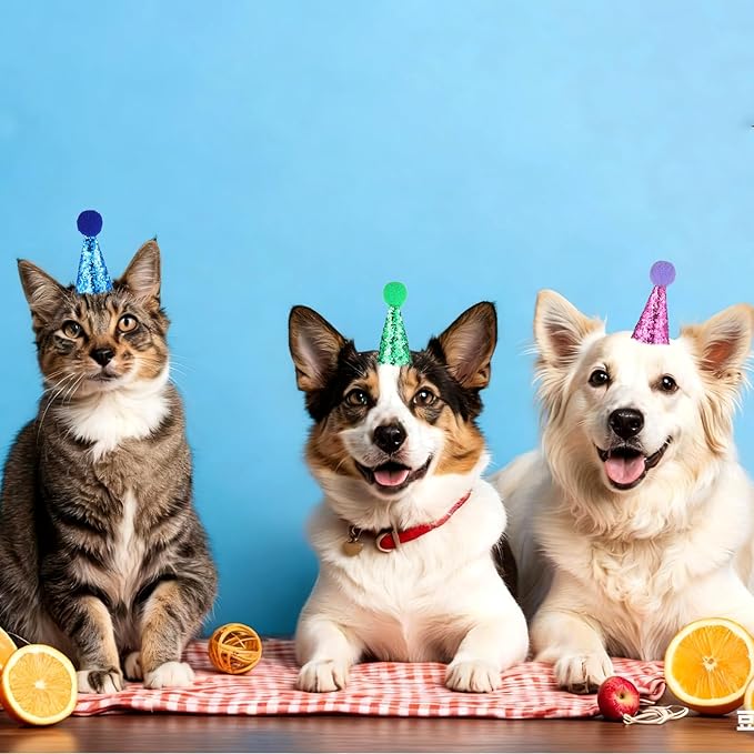 10PCS Small Birthday Hats for Stuffed Animals, Small Party Hats for Stuffed Animals, Dogs, Cats, Adjustable Tiny Hat with Pom Poms, Holiday Birthday Costume Accessories