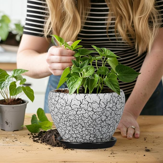 Ceramicfor Ceramic Planter Pot - 6 Inch Plant Pot with Drainage Hole and Saucer, Succulent Pot Glaze Round for Indoor Outdoor Plants, White and Black