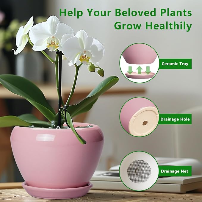 Ceramicfor 6 Inch Plant Pot - Ceramic Pot for Indoor Plants, Glaze Modern Decorative Round Ceramic Planter with Drainage Hole and Saucer, Plant Lover Gifts, Home Garden Room Office Decor, Pink