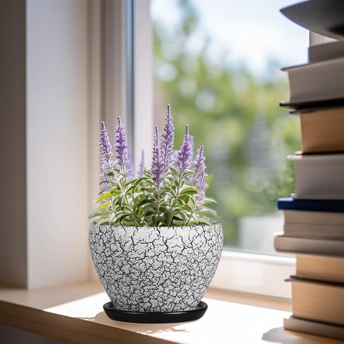 Ceramicfor Ceramic Planter Pot - 6 Inch Plant Pot with Drainage Hole and Saucer, Succulent Pot Glaze Round for Indoor Outdoor Plants, White and Black