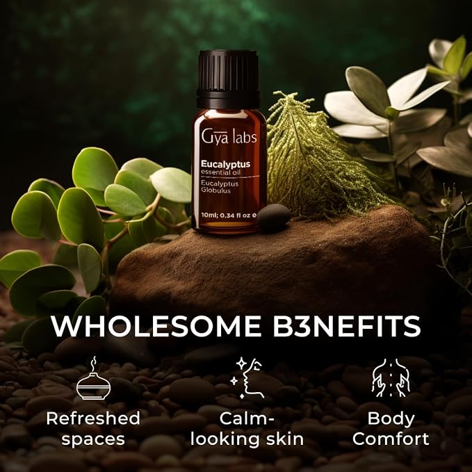 Eucalyptus Essential Oil for Diffuser (0.34 fl oz) & Jojoba Oil for Hair (3.4 fl oz) Set - Aromatherapy Grade Essential Oils Set - Gya Labs