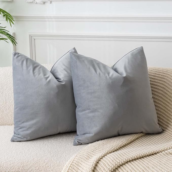 20x20 Decorative Velvet Throw Pillow Covers Set of 2 for Couch,Silver Gray | Soft Cushion Cases with Invisible Zipper for Modern Sofa Bed Living Room Bedroom Home Decor