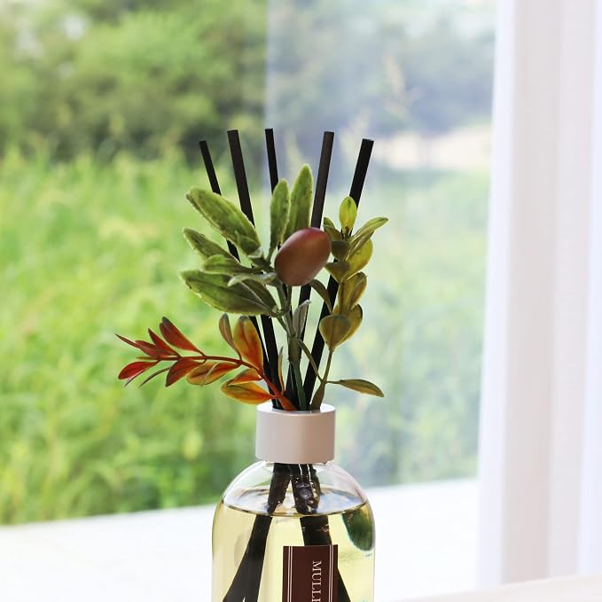Aronica Aronica Christmas Tree Diffusir Oil Cinnamon, Mulled Spice Apple Oil with Sticks, Winter Candy Scented Reed Diffuser, Home Fragrance Decor