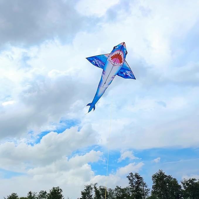 Kites for Kids and Adults, Easy to Fly for Beach, Single Line Kite Set for Beginners