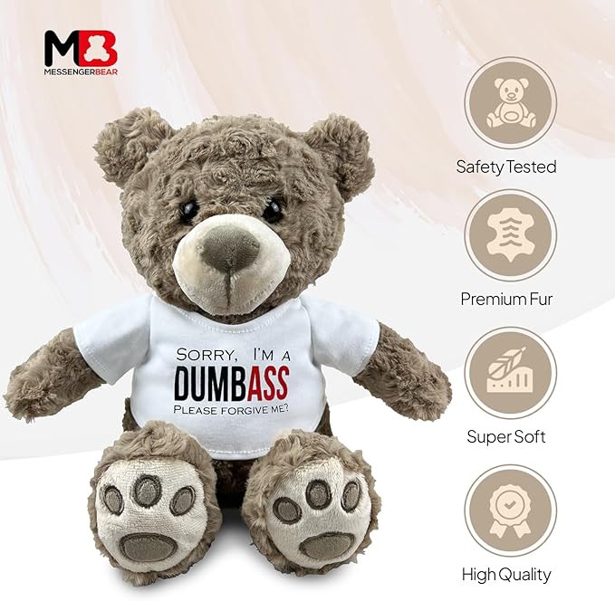 I’m Sorry Teddy Bear 10” Sitting | I Love You Im Sorry Plushie | Im Sorry Gifts for Her Stuffed Animal