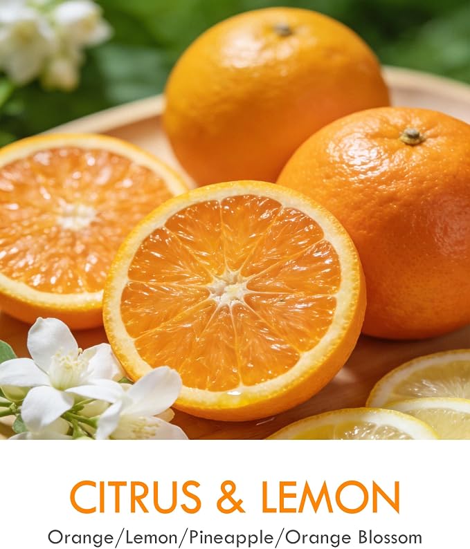 AOOVOO Citrus Lemon Odor Eliminating Candle - 9 oz Non Toxic Highly Fragranced Air Freshing Soy Candle, Eliminates 95% of Smoke, Pet, Food, and Other Smells Quickly, Up to 50 Hours Burn time