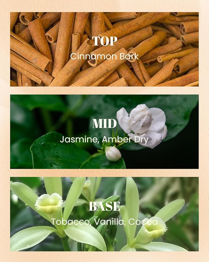 M&SENSE Cinnamon Tobacco Vegan Soy Candle | Non Toxic, 10oz, 42-Hour Slow Burning, Stress Relief Relaxation, Housewarming Gift for Father