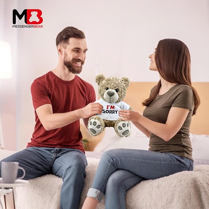 I’m Sorry Teddy Bear 10” Sitting | I Love You Im Sorry Plushie | Im Sorry Gifts for Her Stuffed Animal
