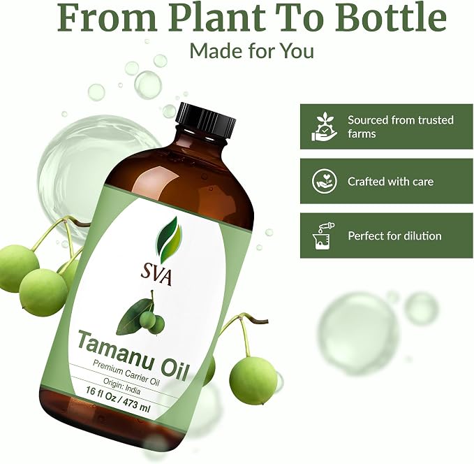 SVA Tamanu Oil 16 Fl Oz - for Face, Skin Care, Hair Care, Scalp Massage & Body Massage