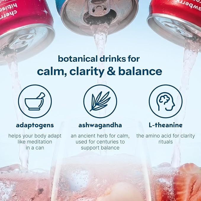 Moment Adaptogen Drink (Shark Tank) - Calm, Clarity & Relaxation with L-Theanine & Ashwagandha - Non Alcoholic Drinks for Adults - Sparkling Botanical Soda - 0 Sugar 0 Caffeine - 24 Pack 11.5 fl oz