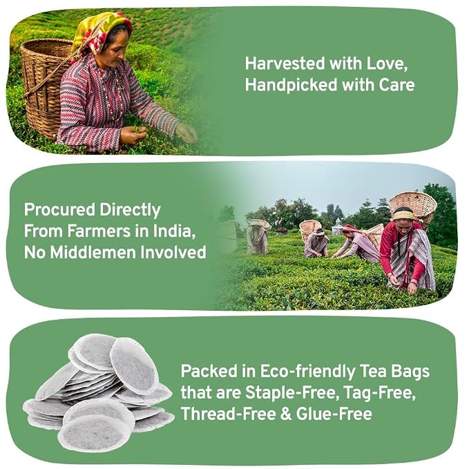 HANDPICK, Irish Breakfast Black Tea Bags (100 Count) Gluten-Free, Non-GMO | Strong, Robust & Bold Flavor | Round Eco-Conscious Tea Bags