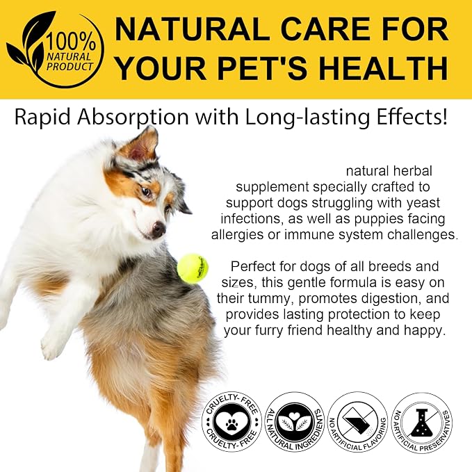 Yeast Infection Treatment for Dogs, Natural Dog Yeast Infection Relief for Itchy Skin & Ear, with Multivitamins Probiotics, Bacon Flavor Liquid Supplement for All Breeds, 2 FL OZ ﻿