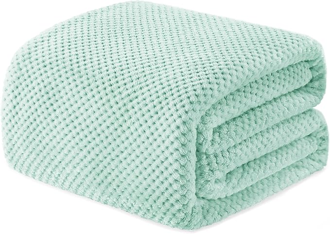 Exclusivo Mezcla Soft Waffle Fleece Bed Blanket Twin Size, Mint Green | Lightweight Plush Blanket for Bed, Couch, Sofa, Cozy Fluffy Design for Bedroom, Guest Room, All Season, 60x80 Inches