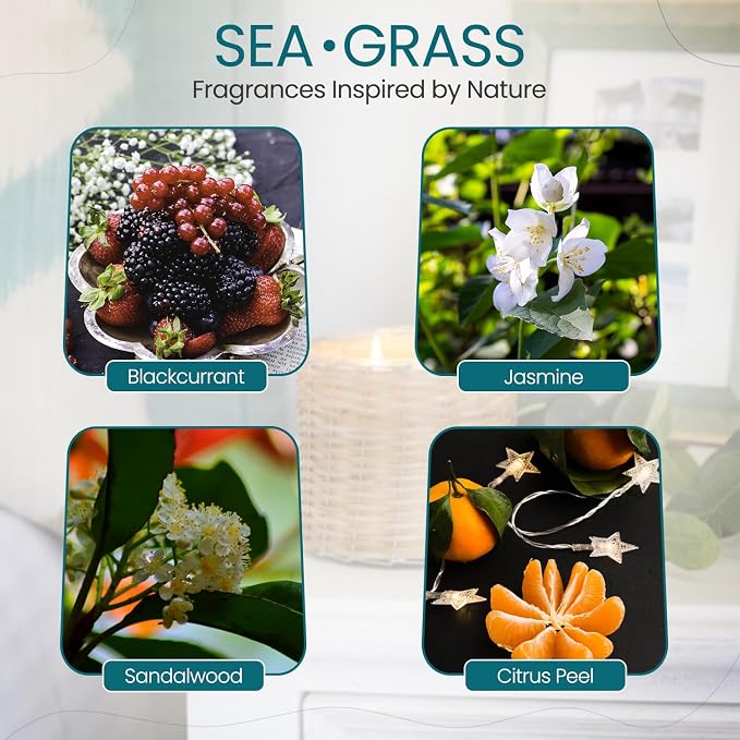 Sea Grass Scented Candle – Luxury 12oz Soy Wax, 2-Wick Handwoven Glass Jar, scents of Blackcurrant, Jasmine and Sandalwood - Santal Candle, 75+ Hour Clean Burn, USA Made