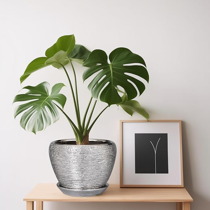 Ceramicfor Ceramic Planter - 6 Inch Plant Pot Indoor with Drainage Hole and Saucer Outdoor Pot for Plants Round Decorative Planter Modern Mid-Century Flower Pot for Office Decor Silver