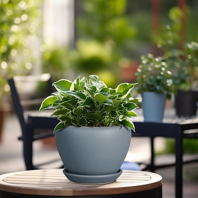 Ceramicfor Ceramic Pot for Plants - 6 Inch Plant Pot Indoor with Drainage Hole and Saucer Decorative Planter for Outdoor Plants Modern Succulent Pots Round Flower Pots Gray