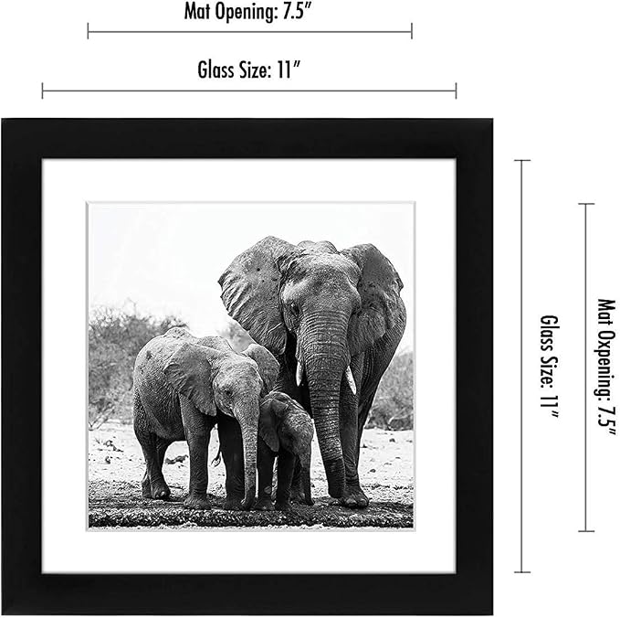 Americanflat 11x11 Picture Frame with Shatter-Resistant Glass - Use as 8x8 Frame with Mat or Display 11x11 Photo Without Mat - Signature Collection - Square Frames for Wall Display - Black | Shatter-resistant glass, sawtooth hangers included, use with ...