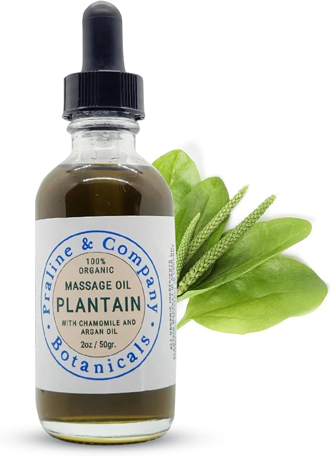 Plantain Massage Oil with Chamomile & Argan Oil – Handcrafted Herbal Body Oil with Organic Plantain Leaves – Natural Skin & Body Massage Oil – 2 oz