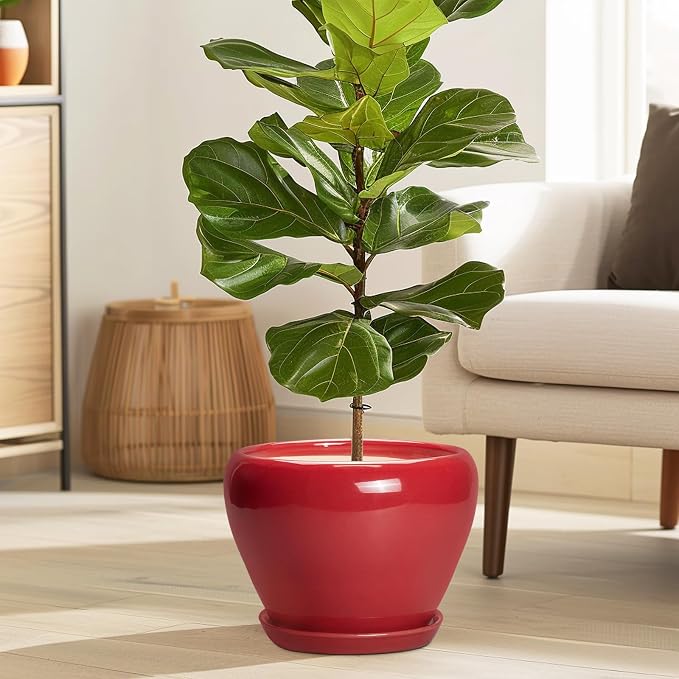 Ceramicfor Ceramic Planter for Indoor Plants 8 Inch - Ceramic Plant Pot with Drainage Hole and Saucer, Glaze Round Decorative Modern Flower Pot, Housewarming Gift, Home Room Office Decor, Red