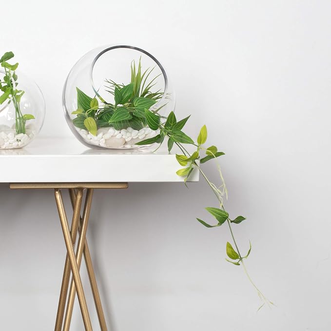WGV Slant Cut Bowl Glass Vase Bulk, Width 7.5", Height 7.5", Clear Round Globe Planter Terrarium Orb, Candy Dish, Fruit Jar, Floral Container for Home Office Decor, 6 Pieces