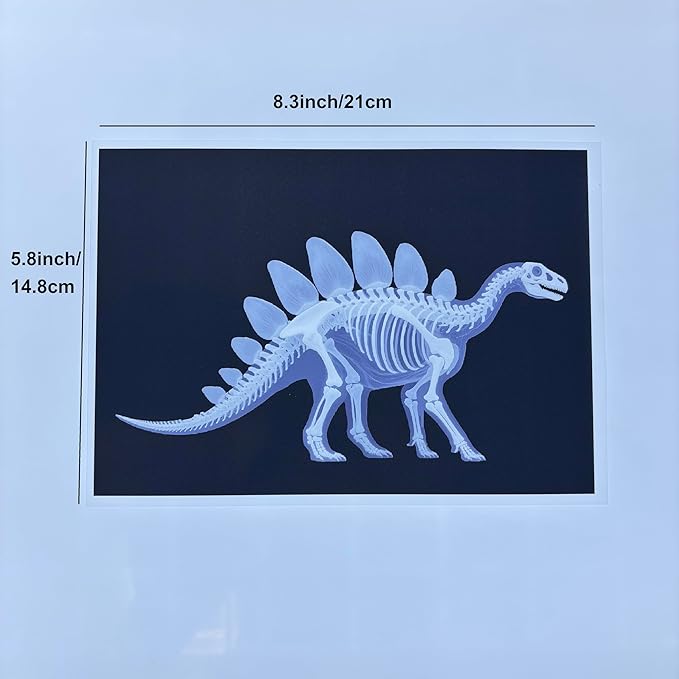 16 Animal X-Ray Set, Educational Science Kit for Kids to Explore Bone Structures for Lightstand Accessories, Light and Shadow Areas (Dinosaur Series)