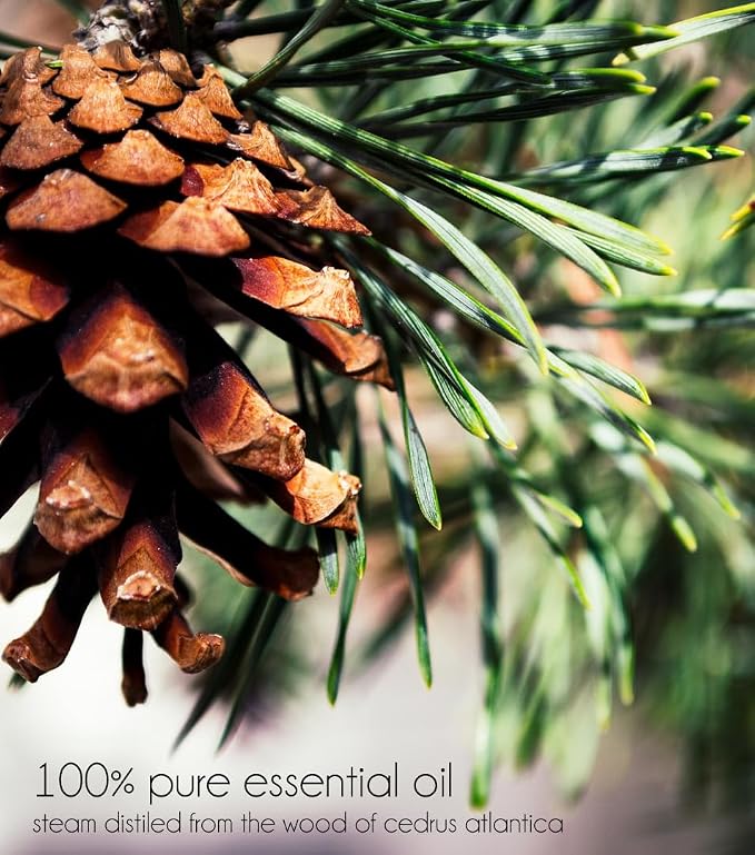 Cedarwood Atlas Essential Oil - 4 fl oz - 100% Pure Essential Oil - GreenHealth