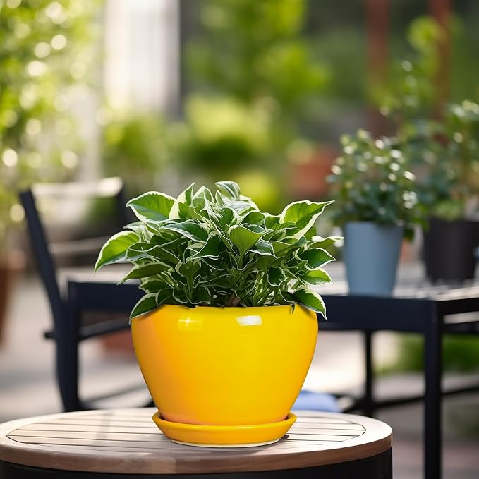 Ceramicfor Ceramic Pot for Plants - 6 Inch Plant Pot Glaze Modern Decorative Round Planter with Drainage Hole and Saucer for Home Patio Room Office House Decor, Yellow