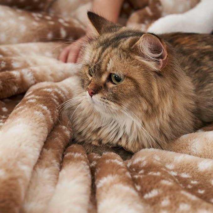Cozy Bliss Luxury Faux Fur Throw Blanket Animal Striped Print, Non Shedding Double Sided Sherpa Blankets Super Soft Fluffy Thick Warm Throws Home Decor for Couch Bed Sofa Women (Brown, 60x80 Inches)