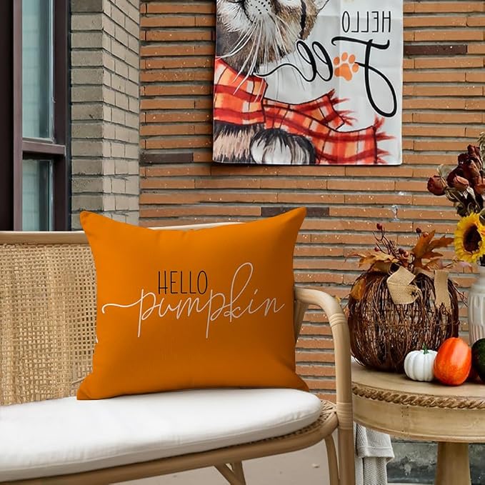 RABUSOFA Fall Pillows Covers 18x18 Autumn Hello Pumpkin Pillows Decorative Throw Pillows,Lumbar Outdoor Thanksgiving Cushion Cover Farmhosue Fall Decor for Couch Sofa Burnt Orange