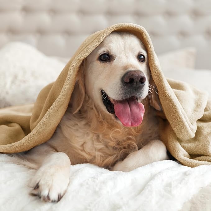 BEDELITE Fleece Blanket Soft Plush Throw for Couch Light Camel 50"x60" | Ultra Soft Fleece, Plush Microfiber, Lightweight Warmth, All Season Comfort, Fade Resistant, Machine Washable, Couch Sofa Bed