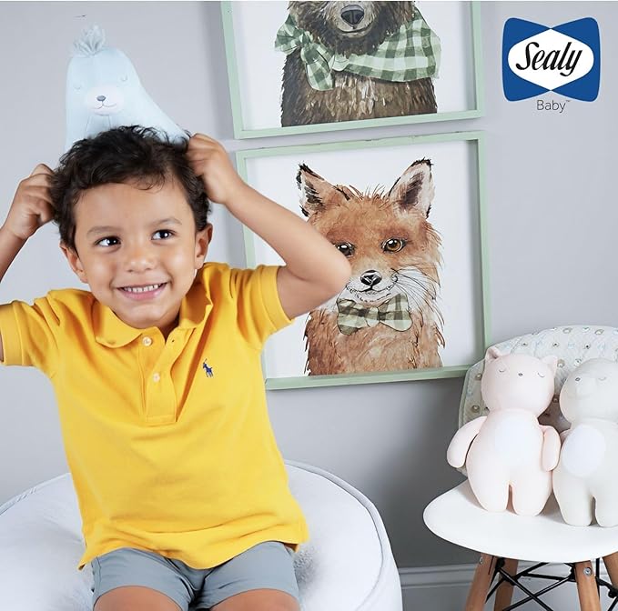 Sealy Baby Super Soft Plush Toy: Cuddles & Comfort for Your Little One (The Seal)
