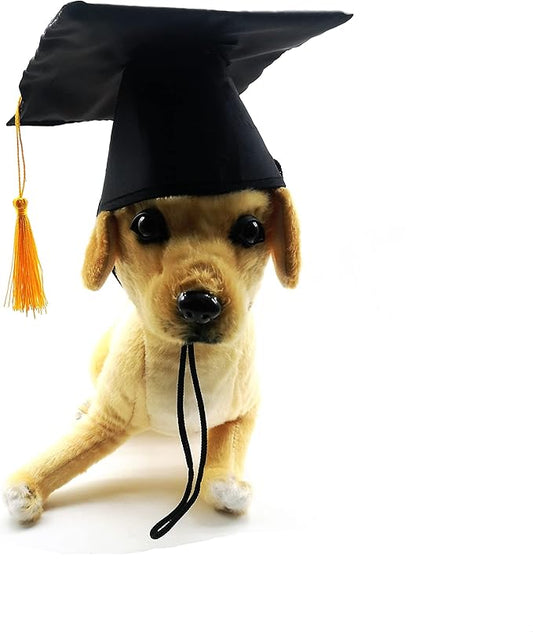 Dog Graduation caps Pet Graduation Caps