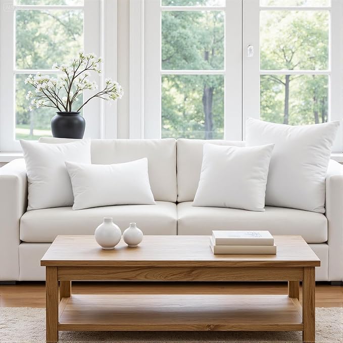 MIULEE 22x22 Inch Throw Pillow Insert for Couch Sofa Bed | Premium Virgin Filling, Soft Brushed Fabric, Decorative Pillow, Lumbar Back and Neck Support