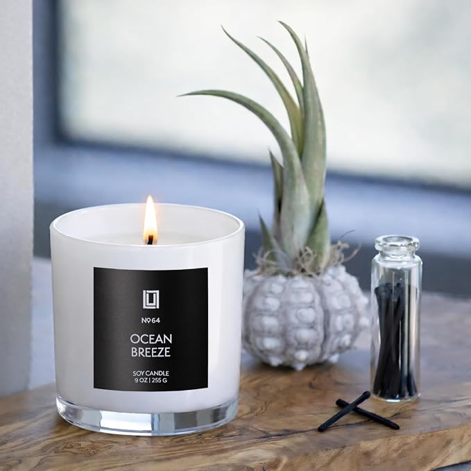 Lulu Candles | Sexy Gal | Luxury Scented Soy Jar Candle | Hand Poured in The USA | Highly Scented & Long Lasting (9 Oz.)