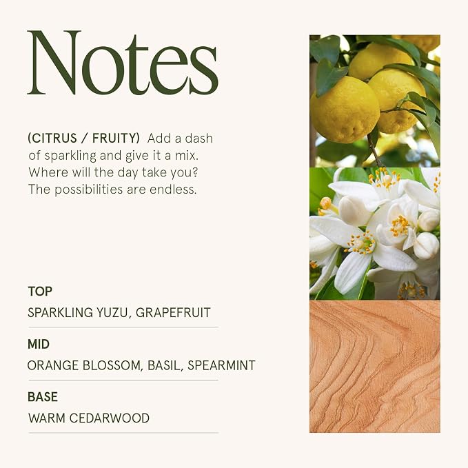 LA JOLIE MUSE Yuzu & Neroli Scented Candles for Home, Natural Soy 2-Wick | Large Jar Luxury Fresh Candle, Clean Non Toxic, Gifts for Women & Men, Spring Summer Candles, Pretty Candle, Citrus Orange
