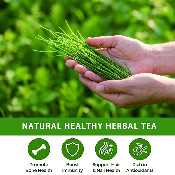 Samcci - Horsetail Tea Bags - 1.5g x 50 Count - Natural Dried Horsetail Herb - Cola De Caballo Hierba - Non-GMO & Caffeine-Free - Plant-Based Corn Fiber Mesh Bags - Supports Hair & Nail Health