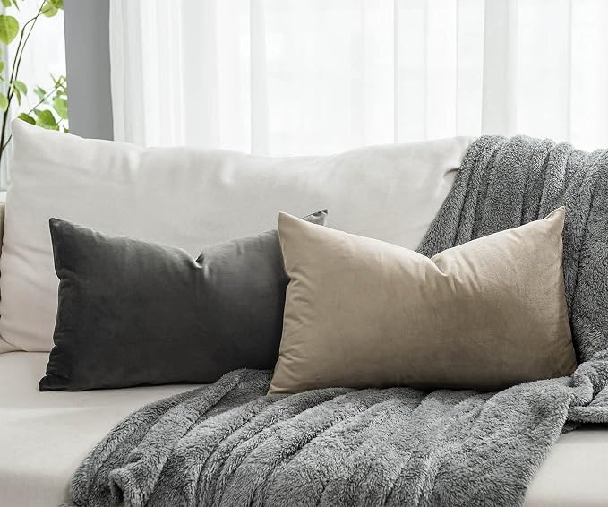 12x20 Throw Lumbar Pillow Covers Decorative Cushion Covers Set of 2,Stone | Soft Velvet Pillow Cases with Invisible Zipper for Modern Couch Sofa Bed Living Room Bedroom Home Decor