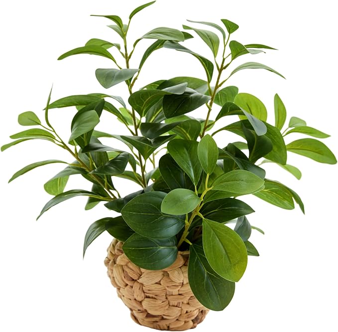 AlphaAcc Fake Faux Potted Plant 15.7" Ficus Water Hyacinth Boho Decor | Artificial plants fig leaf greenery natural hyacinth basket ideal boho office desk shelf home decor